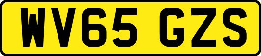 WV65GZS