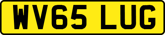 WV65LUG