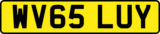 WV65LUY