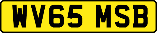 WV65MSB