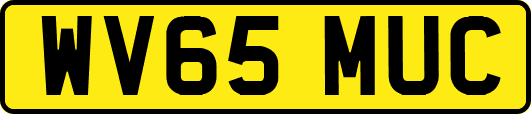 WV65MUC