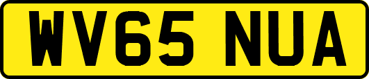 WV65NUA