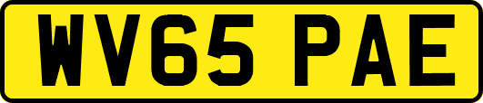 WV65PAE