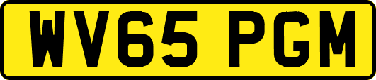 WV65PGM