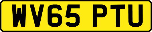 WV65PTU