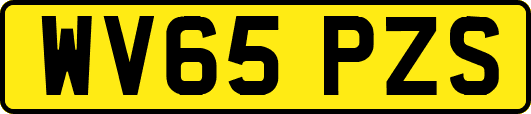 WV65PZS