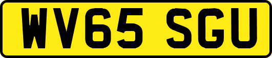 WV65SGU