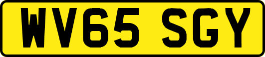 WV65SGY