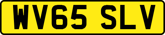 WV65SLV