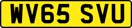 WV65SVU