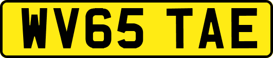 WV65TAE