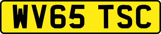 WV65TSC