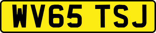 WV65TSJ