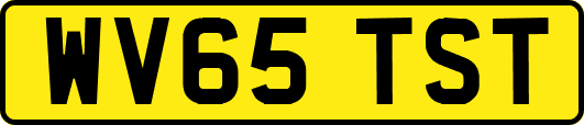 WV65TST