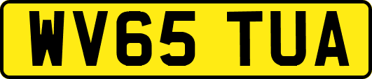 WV65TUA