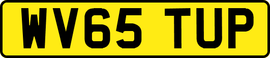 WV65TUP