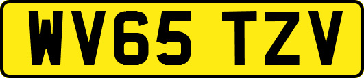 WV65TZV