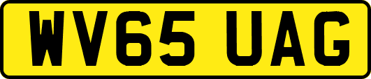 WV65UAG