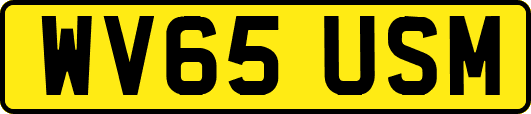 WV65USM