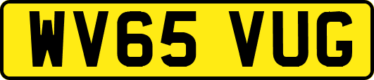 WV65VUG