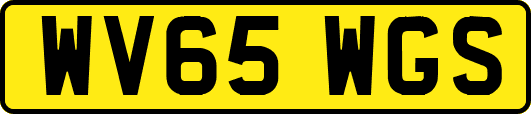 WV65WGS