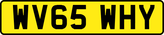 WV65WHY