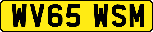 WV65WSM