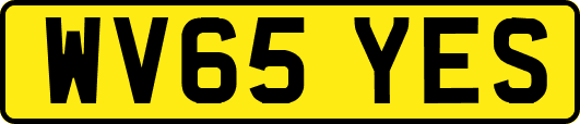 WV65YES