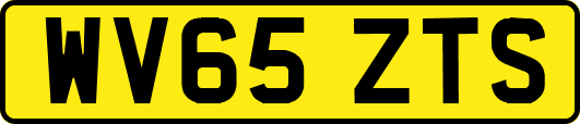 WV65ZTS