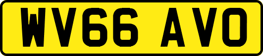 WV66AVO