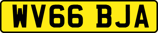 WV66BJA