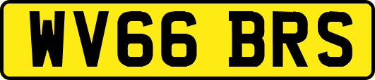 WV66BRS
