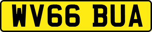 WV66BUA