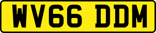 WV66DDM