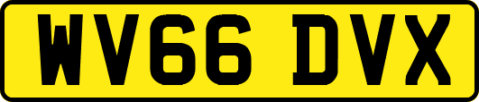 WV66DVX