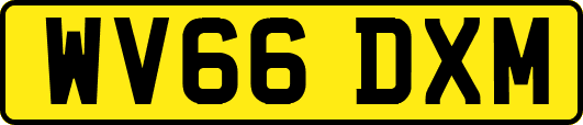 WV66DXM