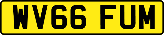 WV66FUM