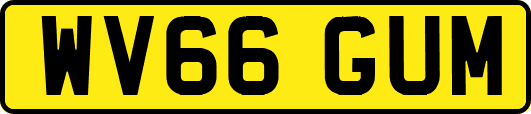 WV66GUM