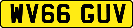 WV66GUV