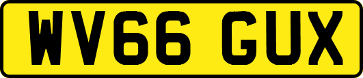 WV66GUX