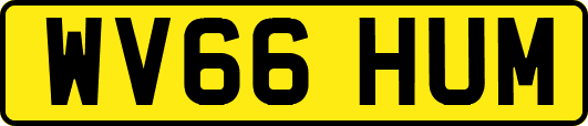 WV66HUM