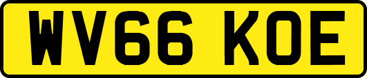 WV66KOE