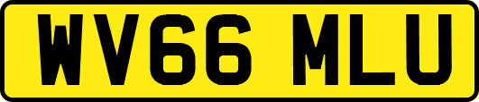 WV66MLU