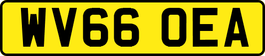 WV66OEA