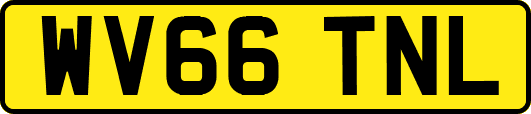 WV66TNL