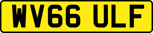 WV66ULF