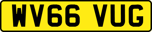 WV66VUG