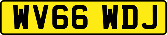 WV66WDJ