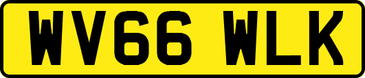 WV66WLK