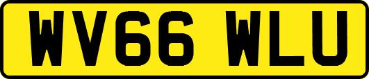 WV66WLU